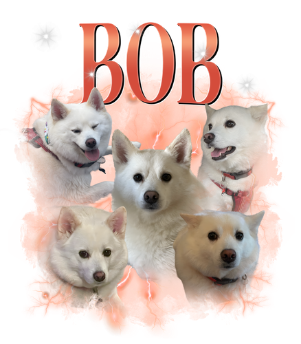 bob.png