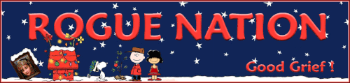 Charie Banner