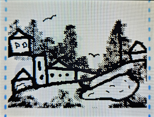 Houses 3.jpg