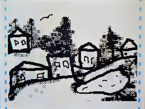Houses 2.jpg