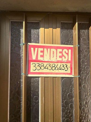 7d3dd9d1984a.jpg
