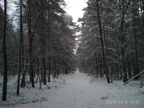 IMG 20231203 153704.jpg