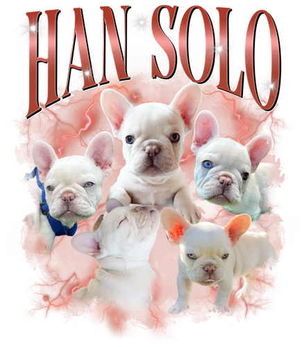 3104103445 1) Han Solo 2) Red Custom 1.png