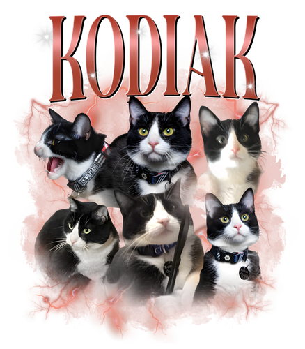 kodiak.png