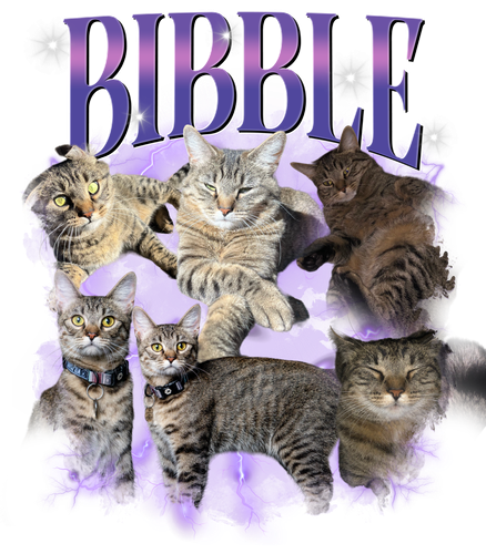 Bibble 12 + S1.png