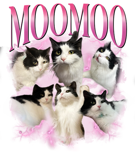 3120300604.png