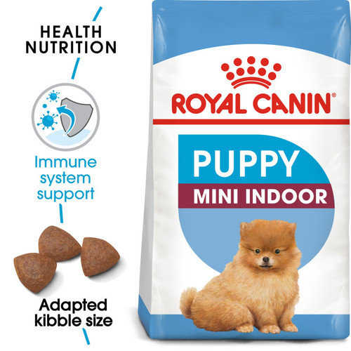 Mini Indoor Puppy 1.5 KG