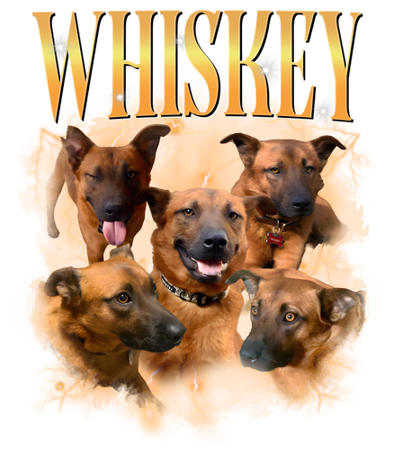 whiskey.png