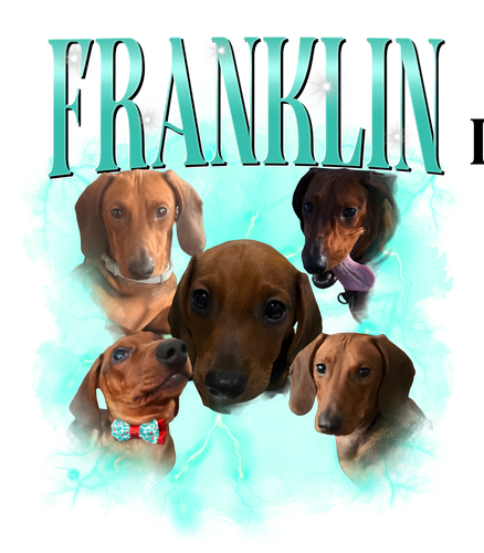 frankin.png