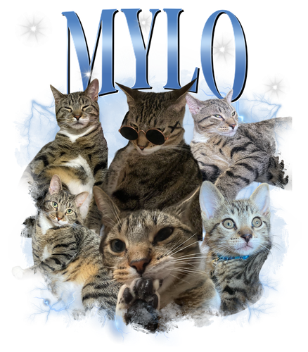 Mylo + 7 +S1.png