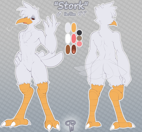 4746089 InvalidNickname stork sfw.png