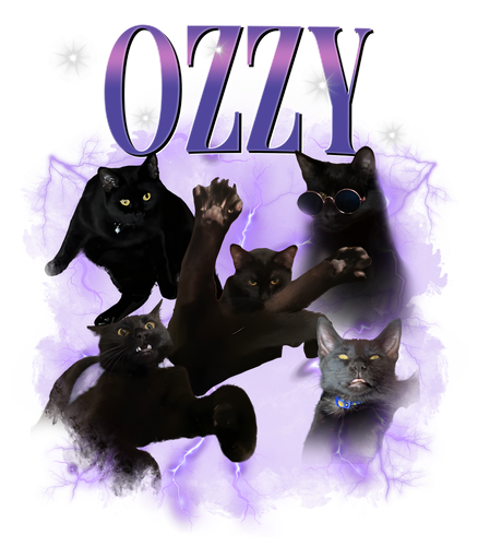 ozzy.png