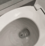 IMG 3524.gif