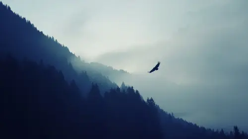 4k eagle in mountains.webp