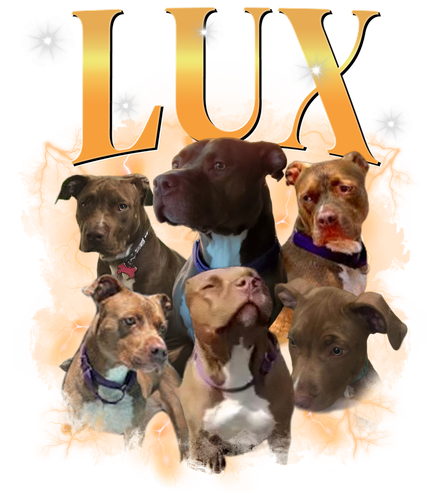 3102418195 Lux 3.png