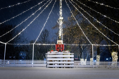 Advent u Samoboru 23 (4).jpg