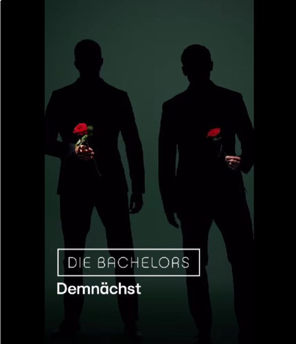 Bachelors2024.jpg