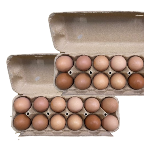 Pack 2 x 12u Huevos de Suelo Talla M.png