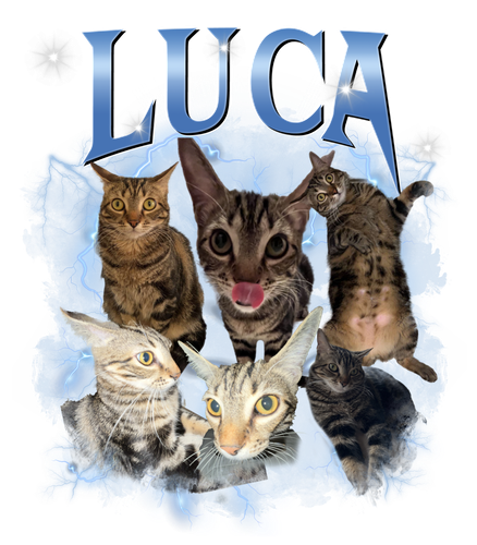 luca.png