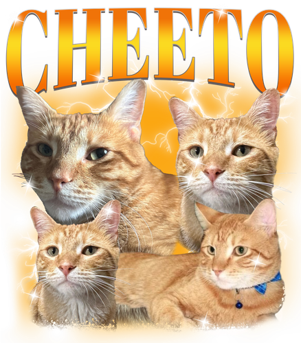 cheeto meo cus.png