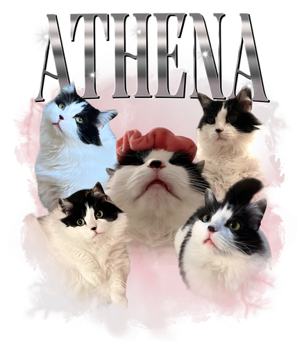 athena.png