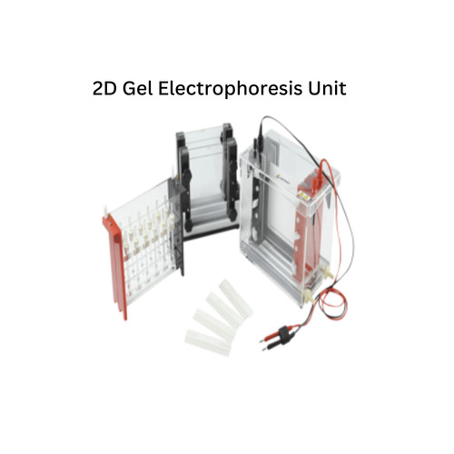 2D Gel Electrophoresis Unit.jpg