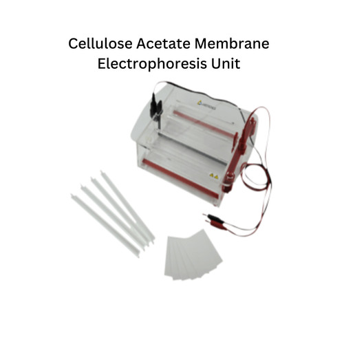 Cellulose Acetate Membrane Electrophoresis Unit.jpg