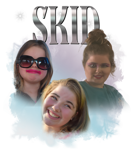 skid.png