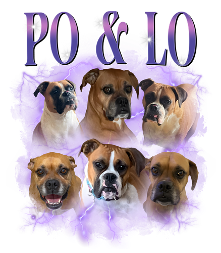 po & lo.png
