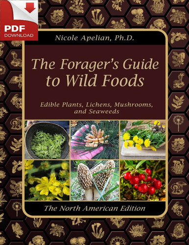The Foragers Guide to Wild Foods (Nicole Apelia....jpg