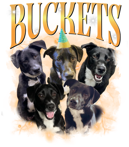 3101683719 BUCKETS.png