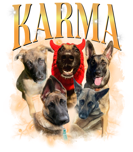 3101683719 KARMA.png