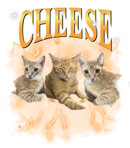 cheese.png