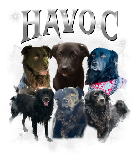 havoc.png