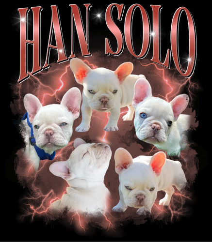 3104103445 1) Han Solo 2) Red Custom 1.jpg