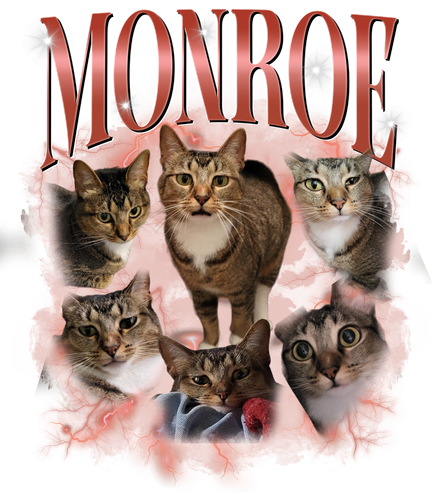 3104103445 Monroe 2) Red Custom 1.png