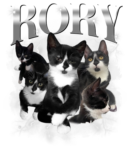 Rory 2.png