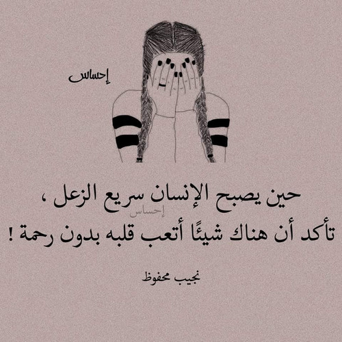 FB IMG 1701298621747.jpg