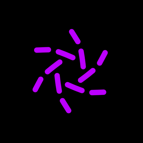 Vortex.png