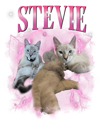 Stevie 3118708000.png