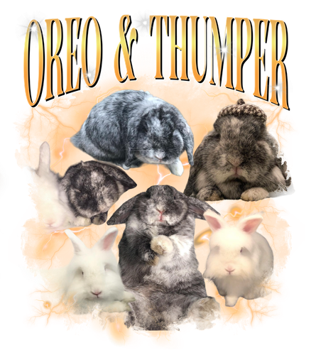 3112385519 Oreo & Thumper.png