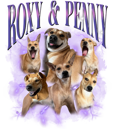 3120862268.png