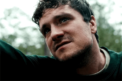 IMG 8105.gif