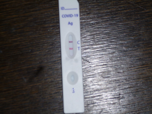 P1000166.jpg