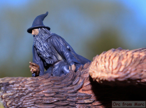 003 Gandalf on Gwaihir.jpg