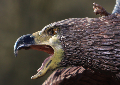 004 Gandalf on Gwaihir.jpg