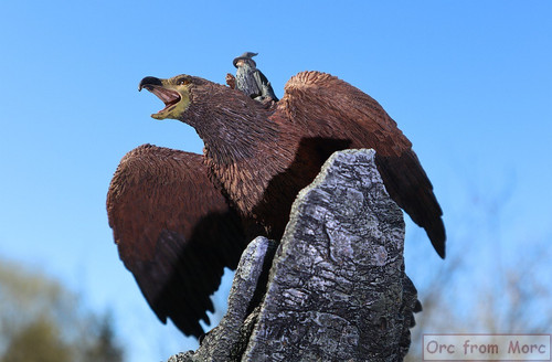 008 Gandalf on Gwaihir.jpg
