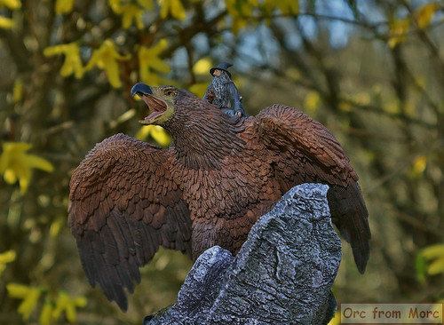 007 Gandalf on Gwaihir.jpg