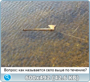 thumb e481880863ab238110e245969a58bc10.png