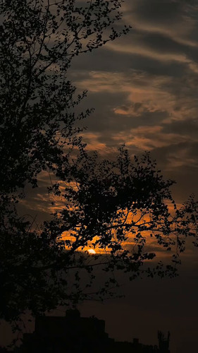 vMD1vU8M3 9cLzb .jpg